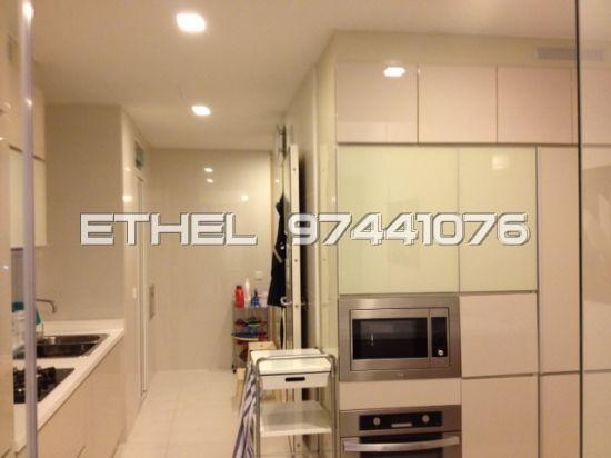 Soleil @ Sinaran (D11), Condominium #45339772